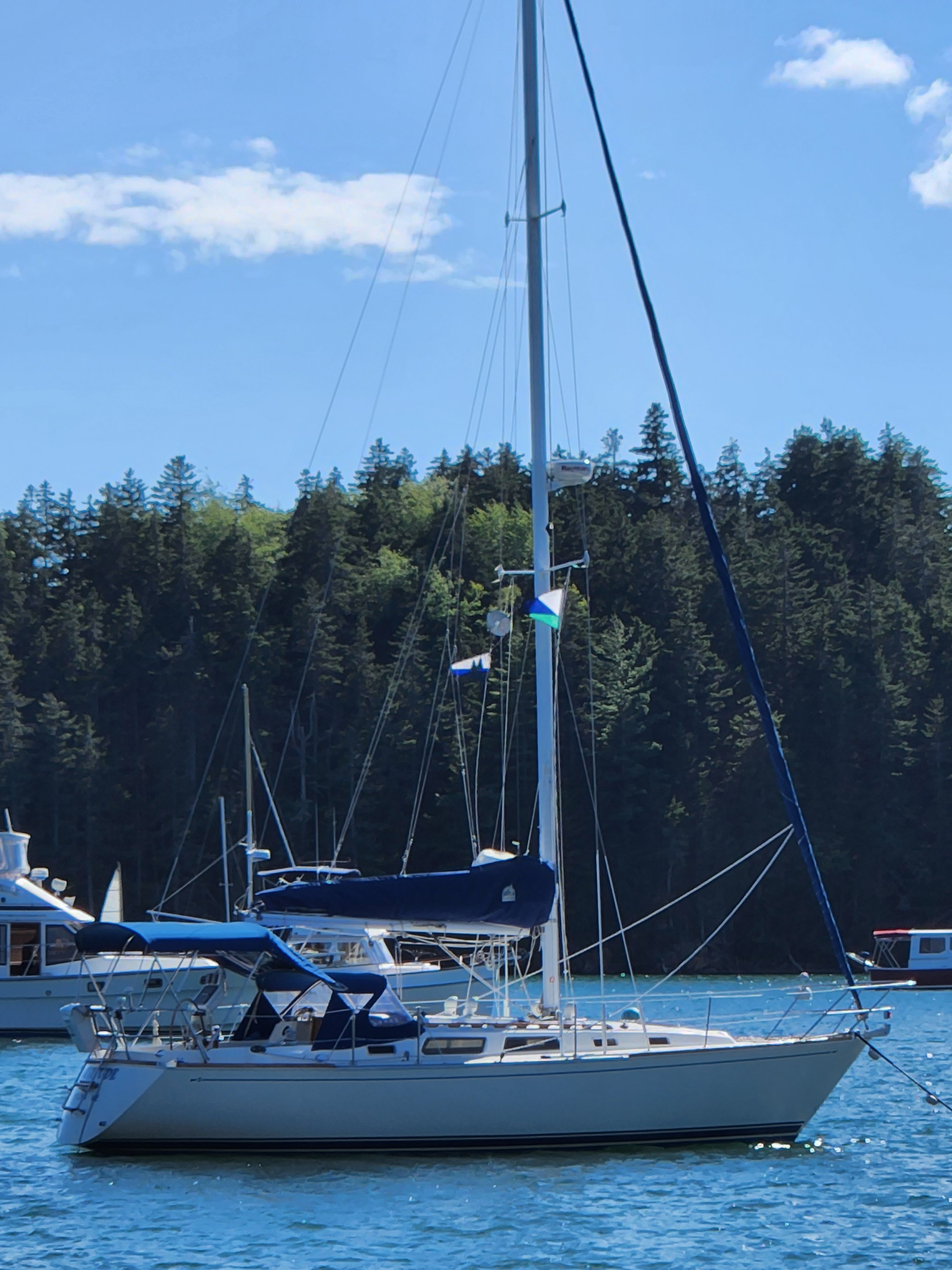 Attitude — Sabre 34 Targa Aft-Cabin Sloop