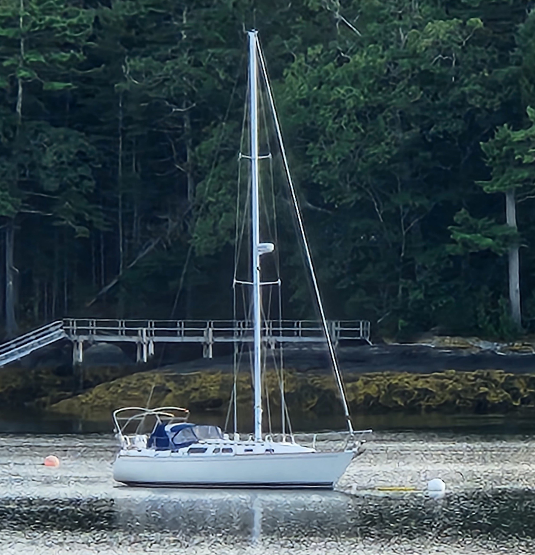 Attitude — Sabre 34 Targa Aft-Cabin Sloop — photo 2