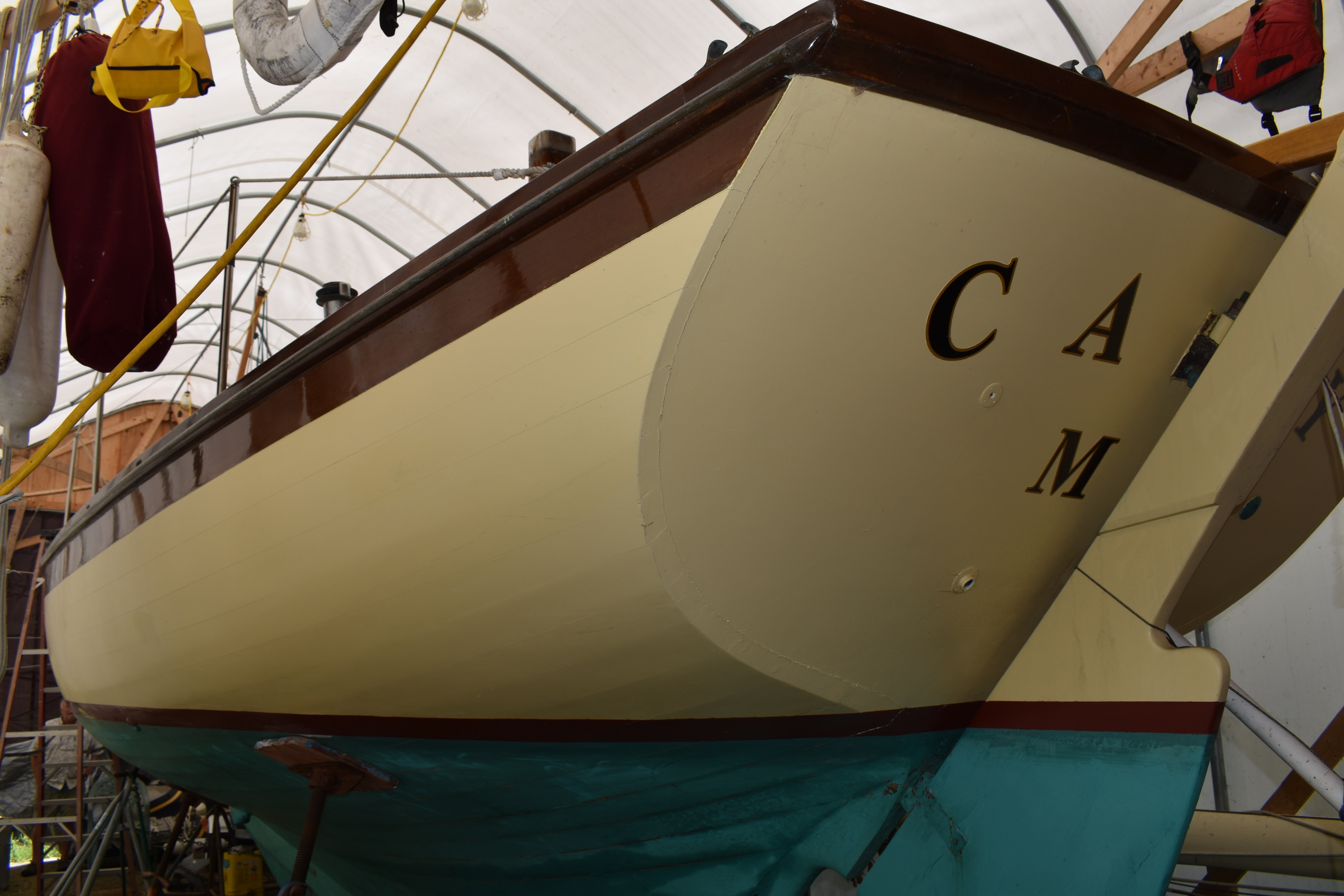 Cady — Frank Loud Cutter — photo 10