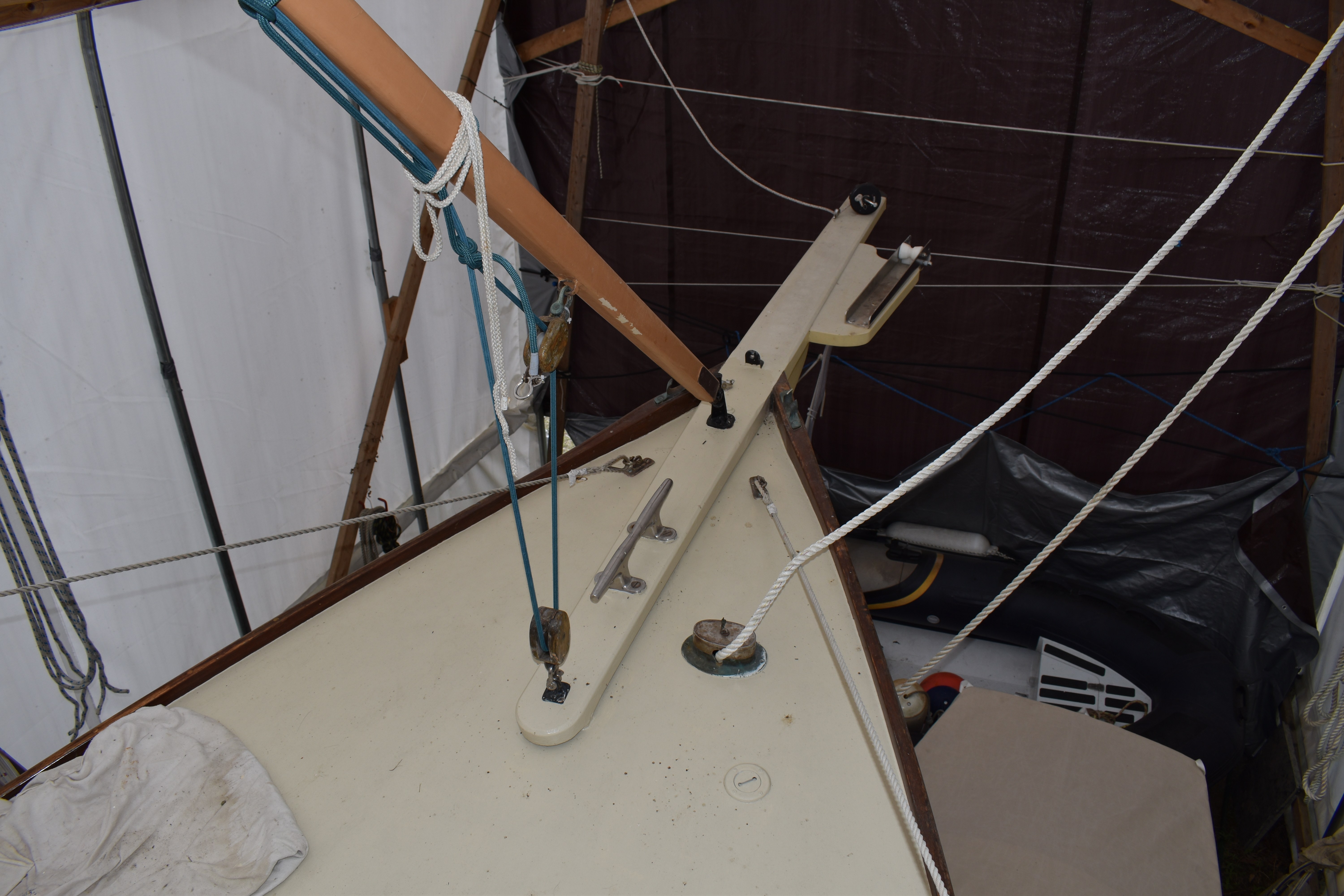Cady — Frank Loud Cutter — photo 19