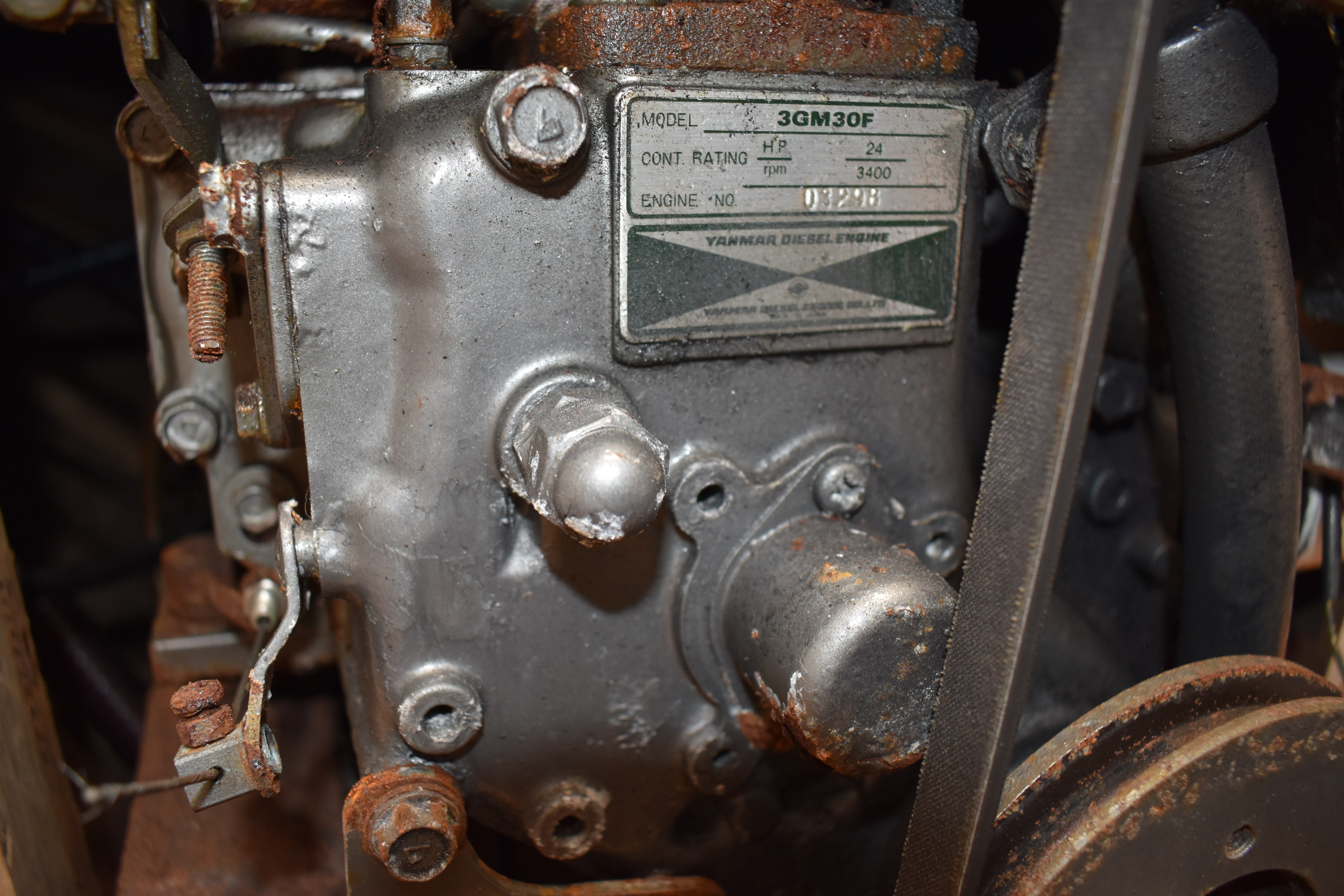 Cady — Frank Loud Cutter — photo 46