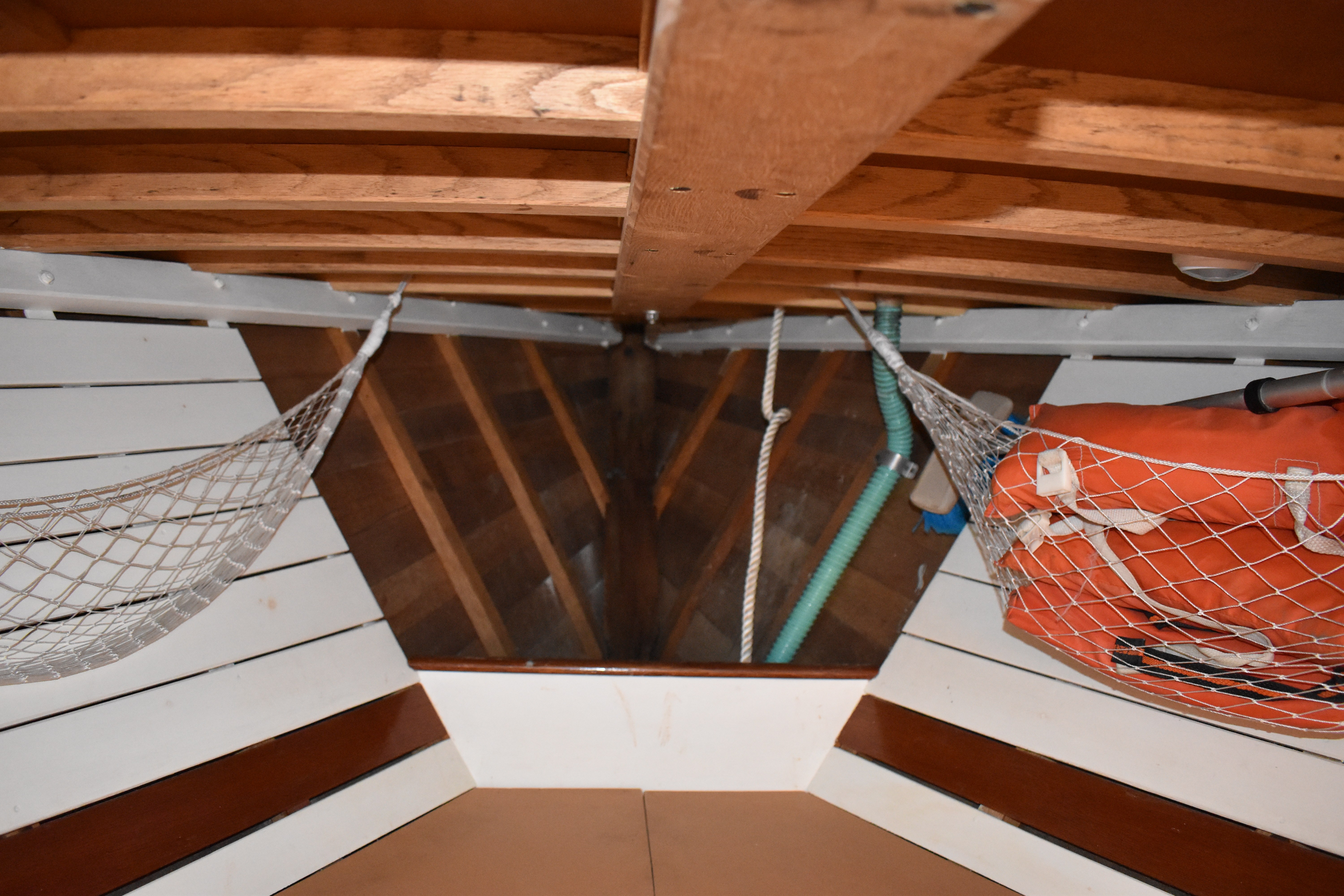 Cady — Frank Loud Cutter — photo 48