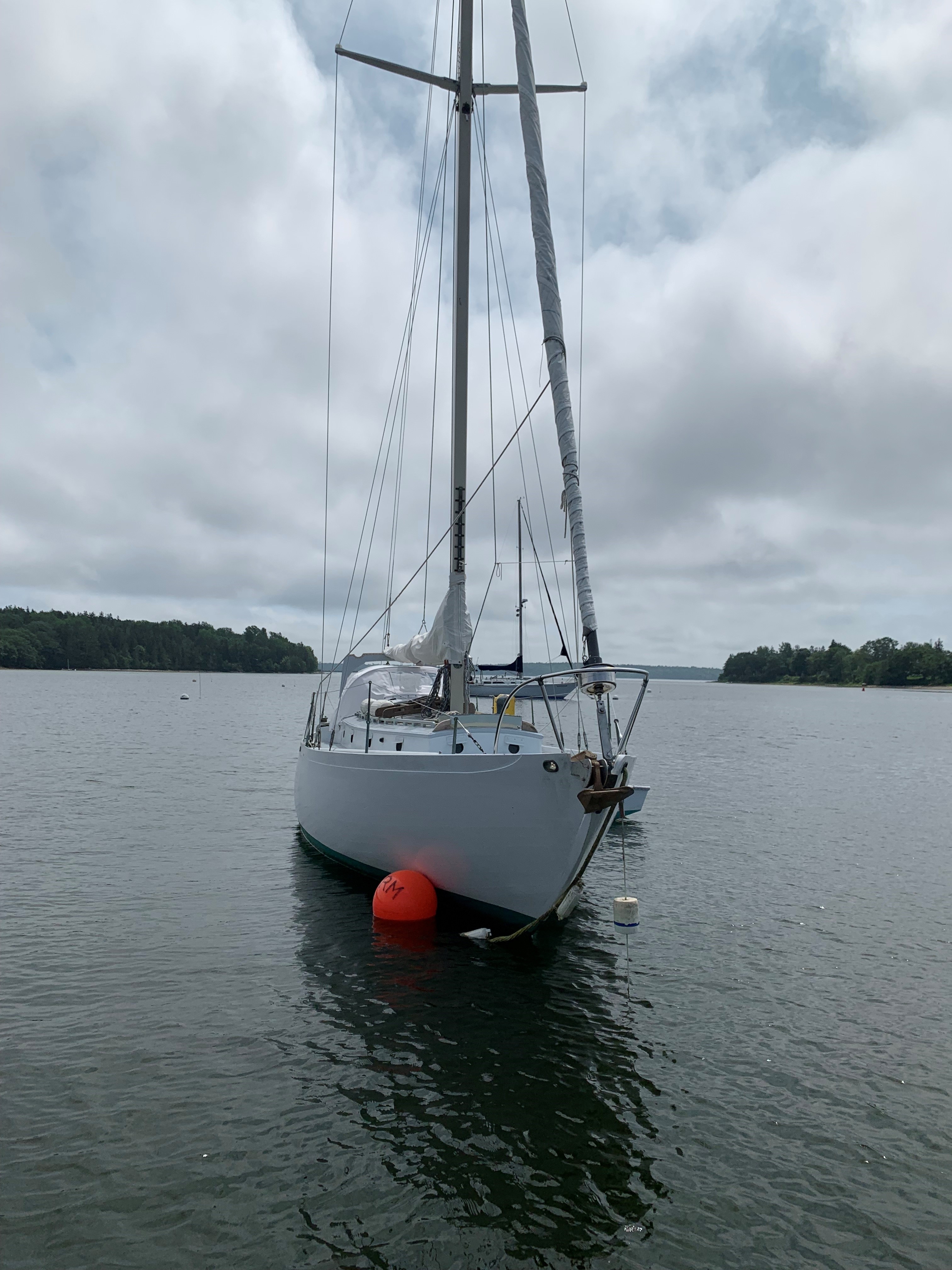 Cedar — Bud MacIntosh Sloop — photo 8