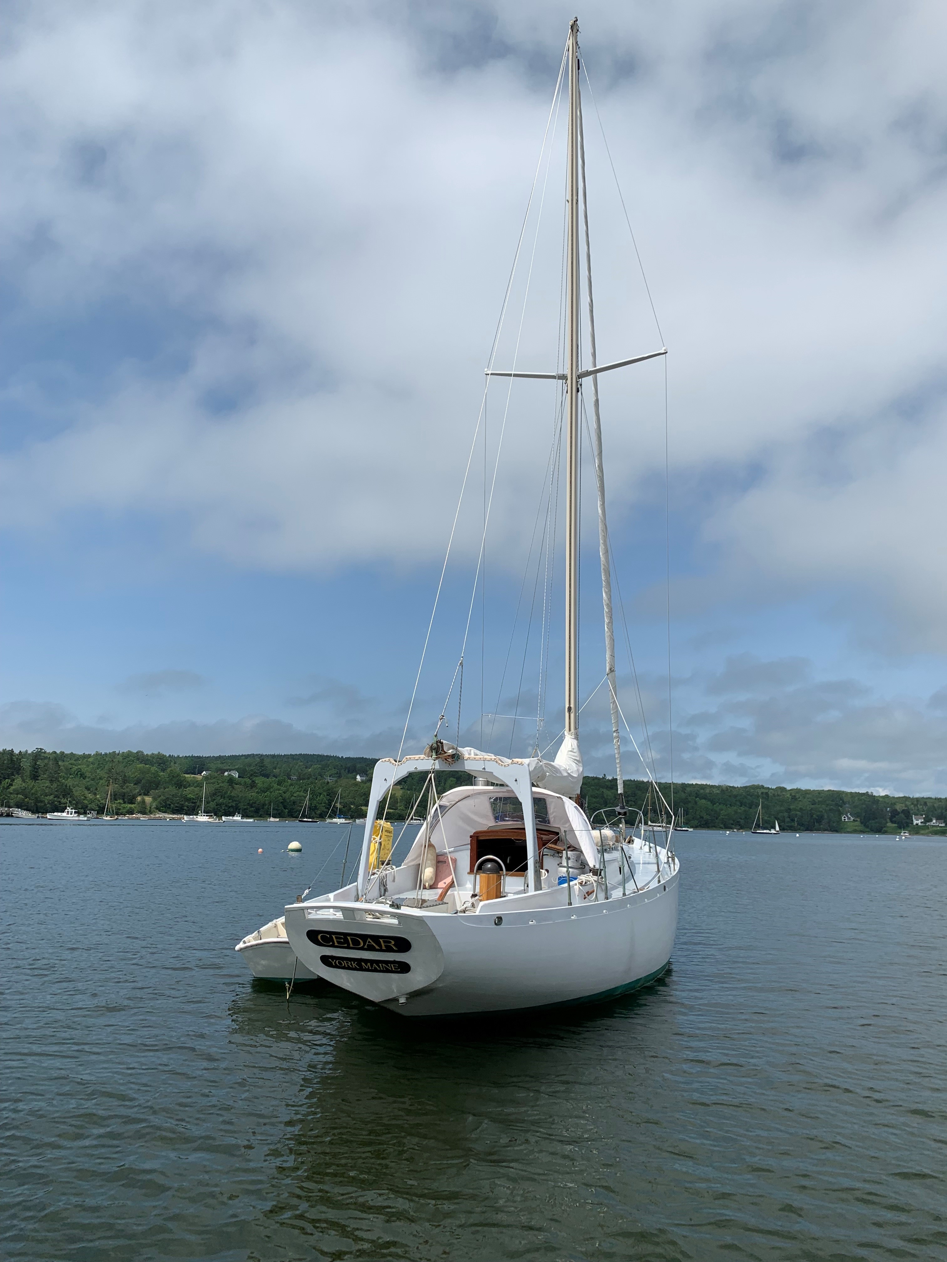 Cedar — Bud MacIntosh Sloop — photo 28