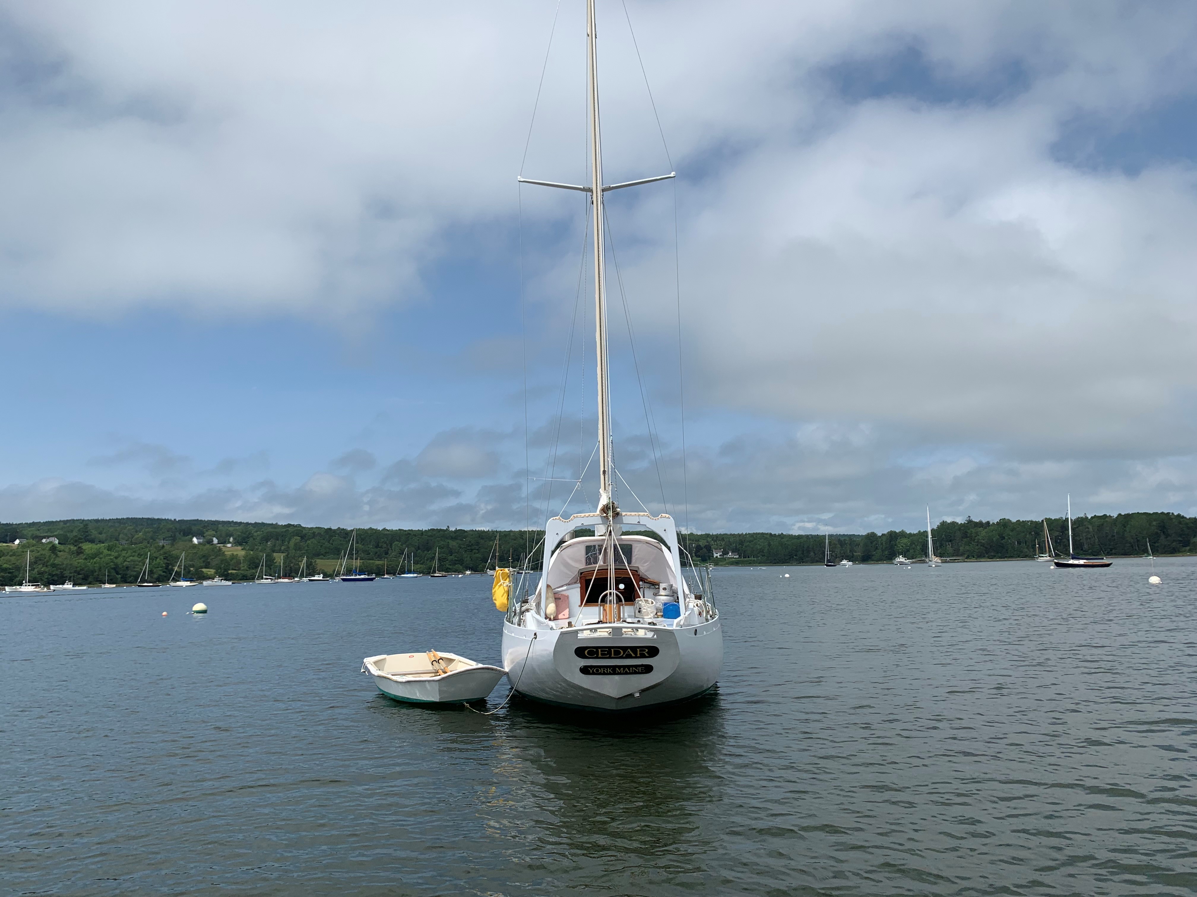 Cedar — Bud MacIntosh Sloop — photo 37