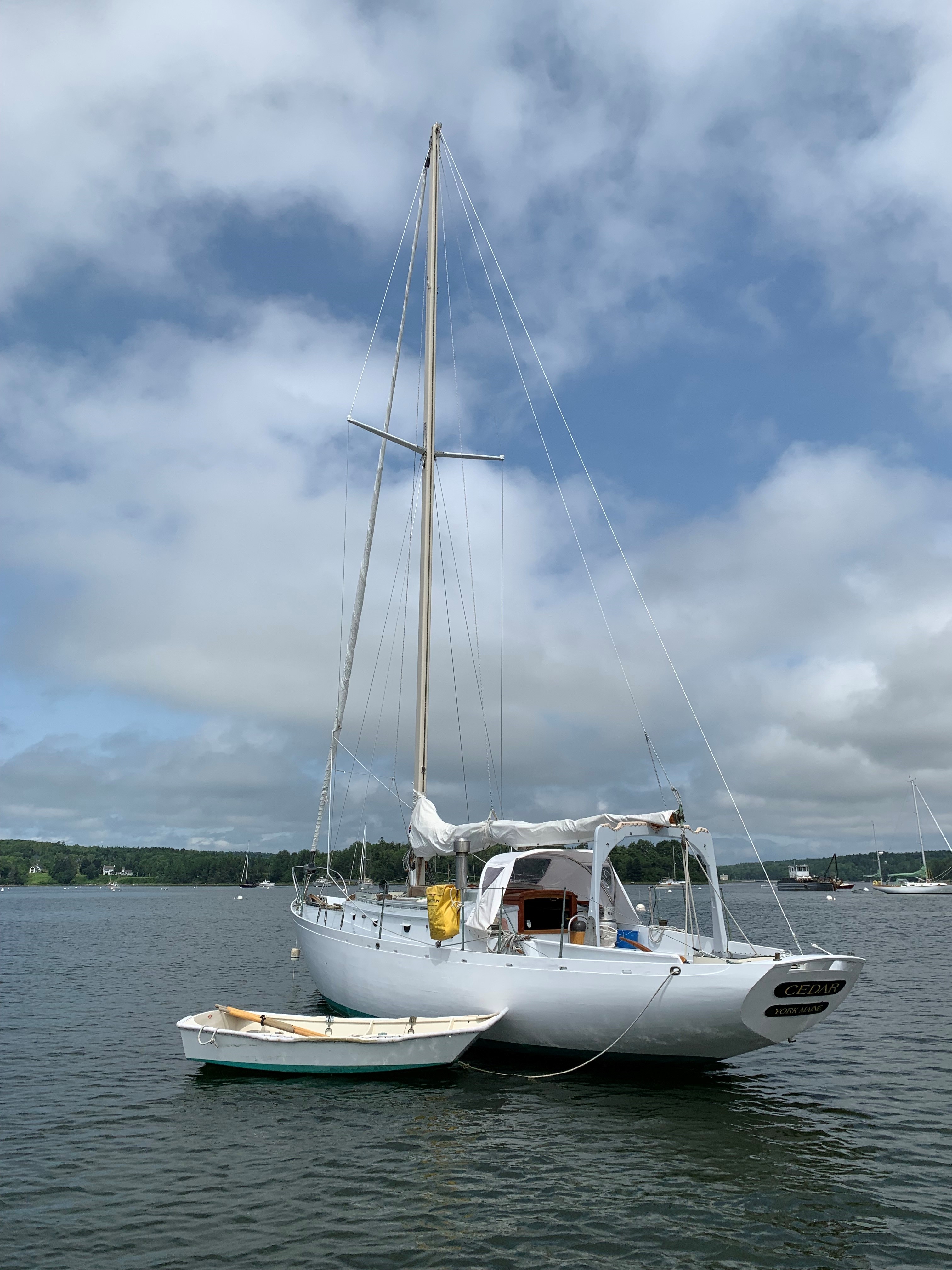 Cedar — Bud MacIntosh Sloop — photo 38