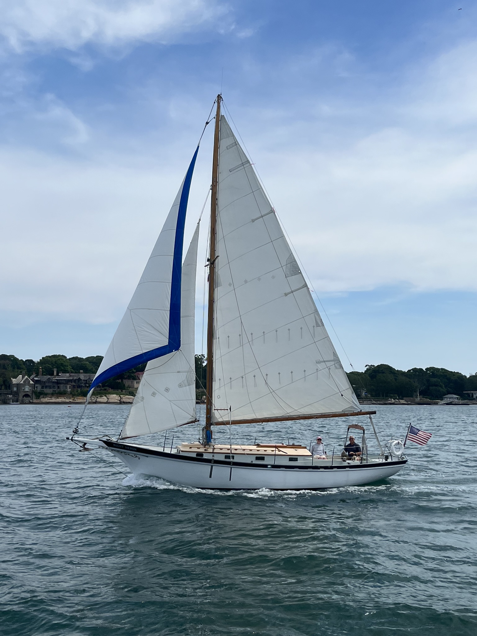 Night Heron — 1961 Geerd Hendel / Bigelow Brothers Marconi Cutter — photo 4
