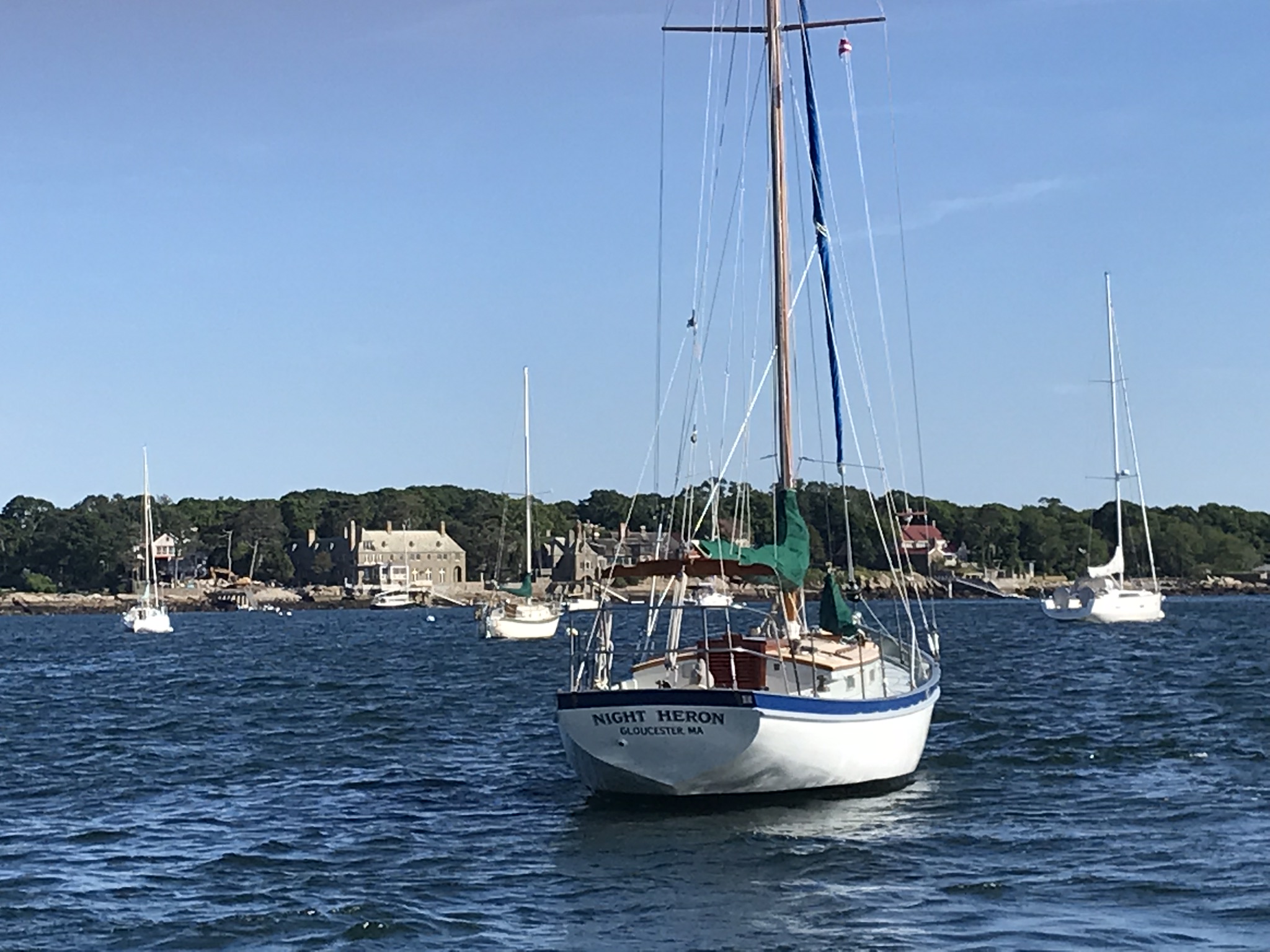 Night Heron — 1961 Geerd Hendel / Bigelow Brothers Marconi Cutter — photo 26
