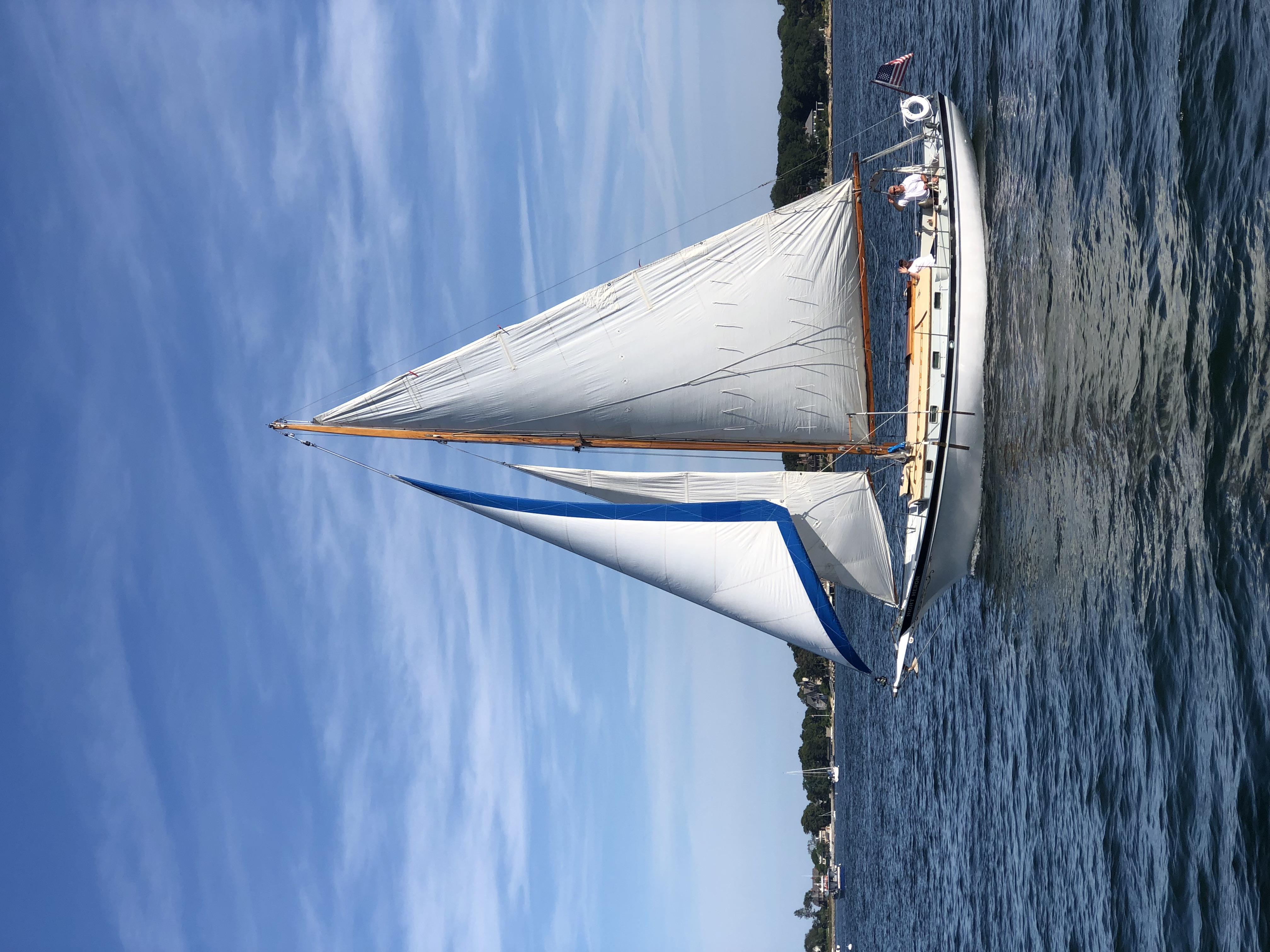 Night Heron — 1961 Geerd Hendel / Bigelow Brothers Marconi Cutter — photo 27