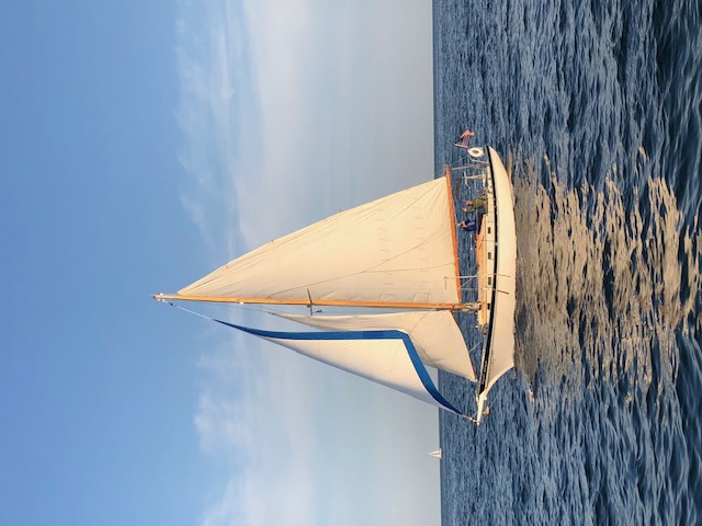 Night Heron — 1961 Geerd Hendel / Bigelow Brothers Marconi Cutter — photo 28