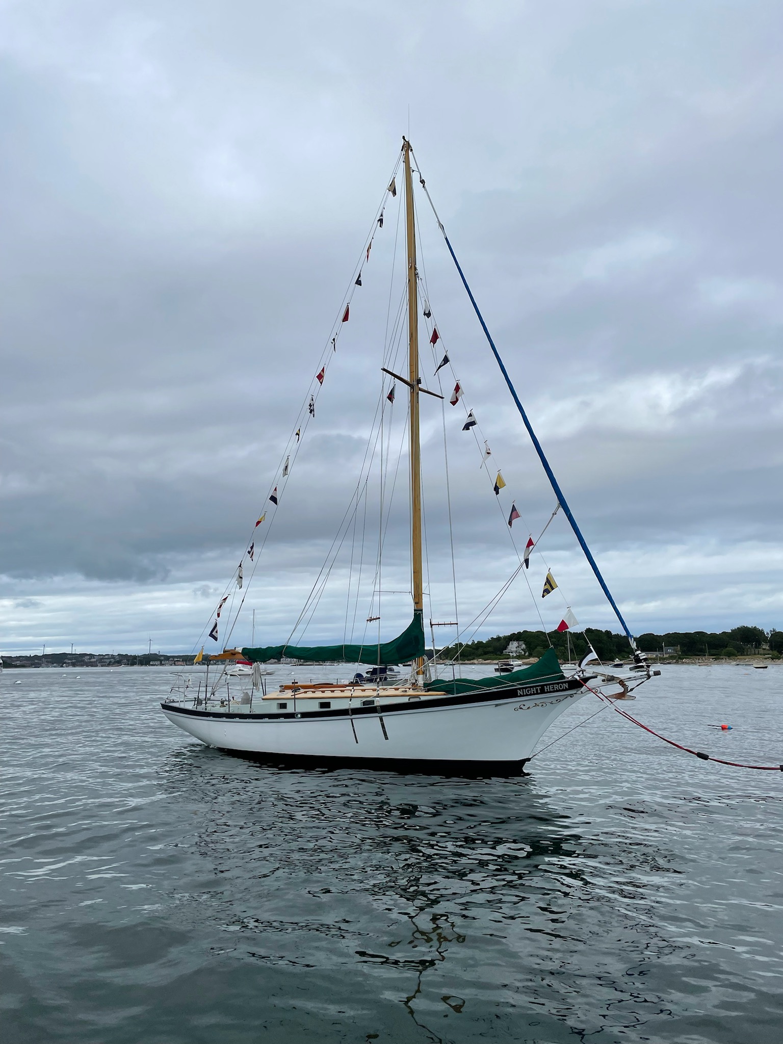 Night Heron — 1961 Geerd Hendel / Bigelow Brothers Marconi Cutter — photo 31