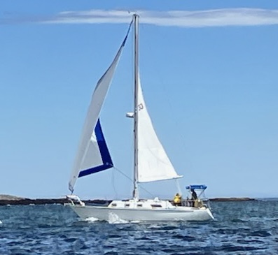 Potpourri — Bristol 31.1 Sloop