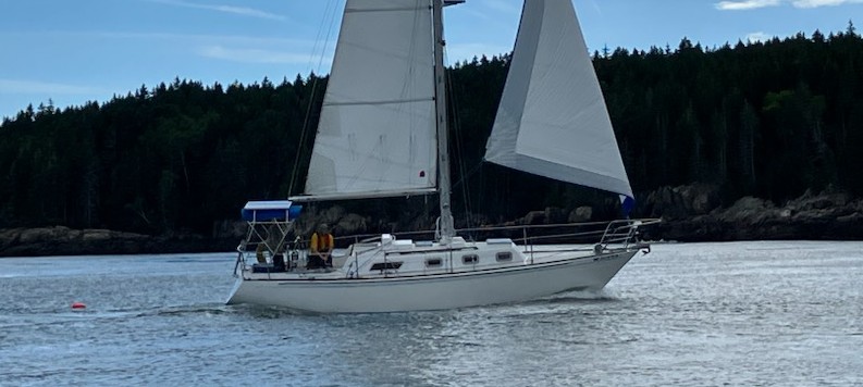 Potpourri — Bristol 31.1 Sloop — photo 4