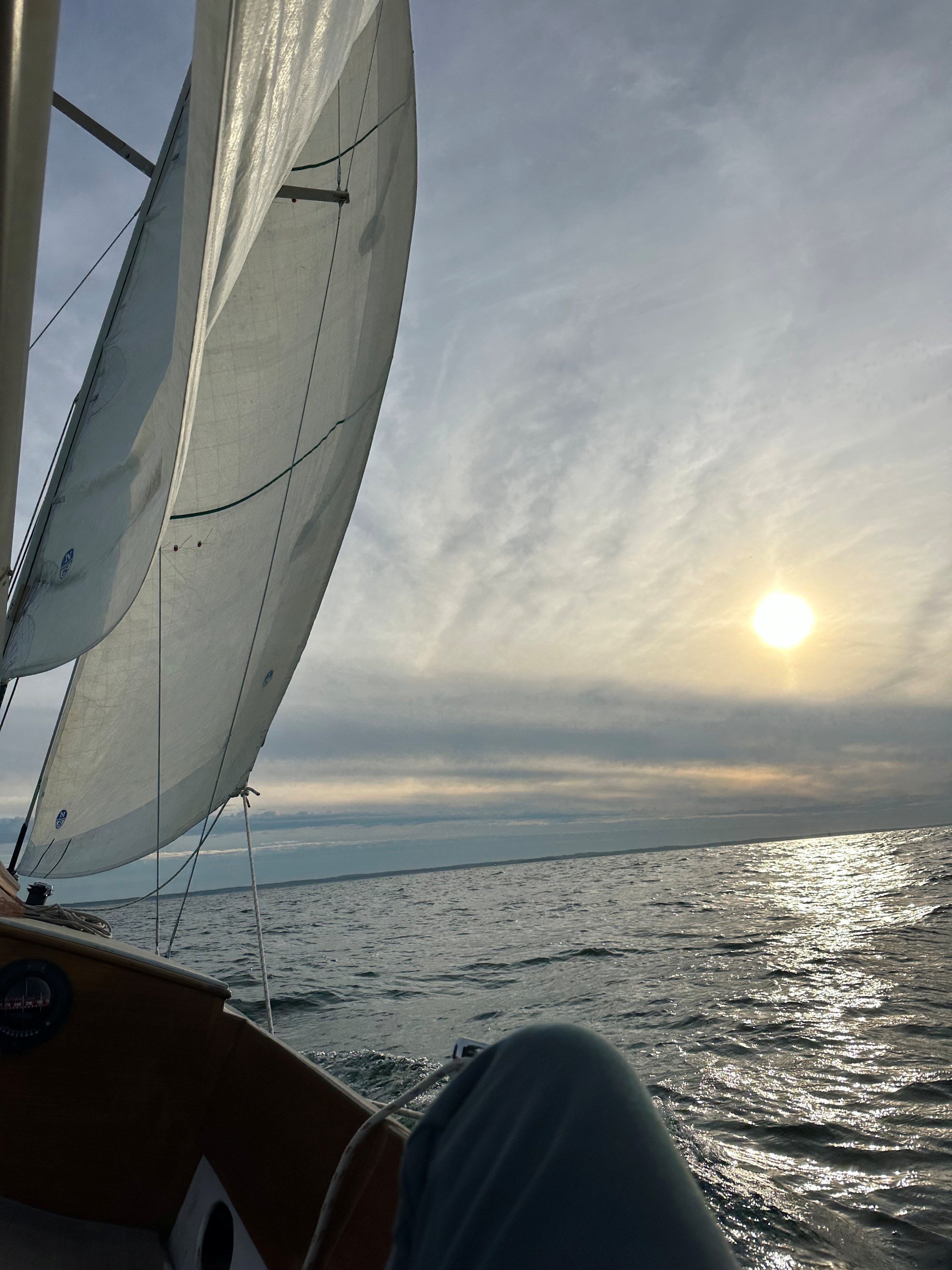 Pudding — Center Harbor 31 Sloop — photo 16