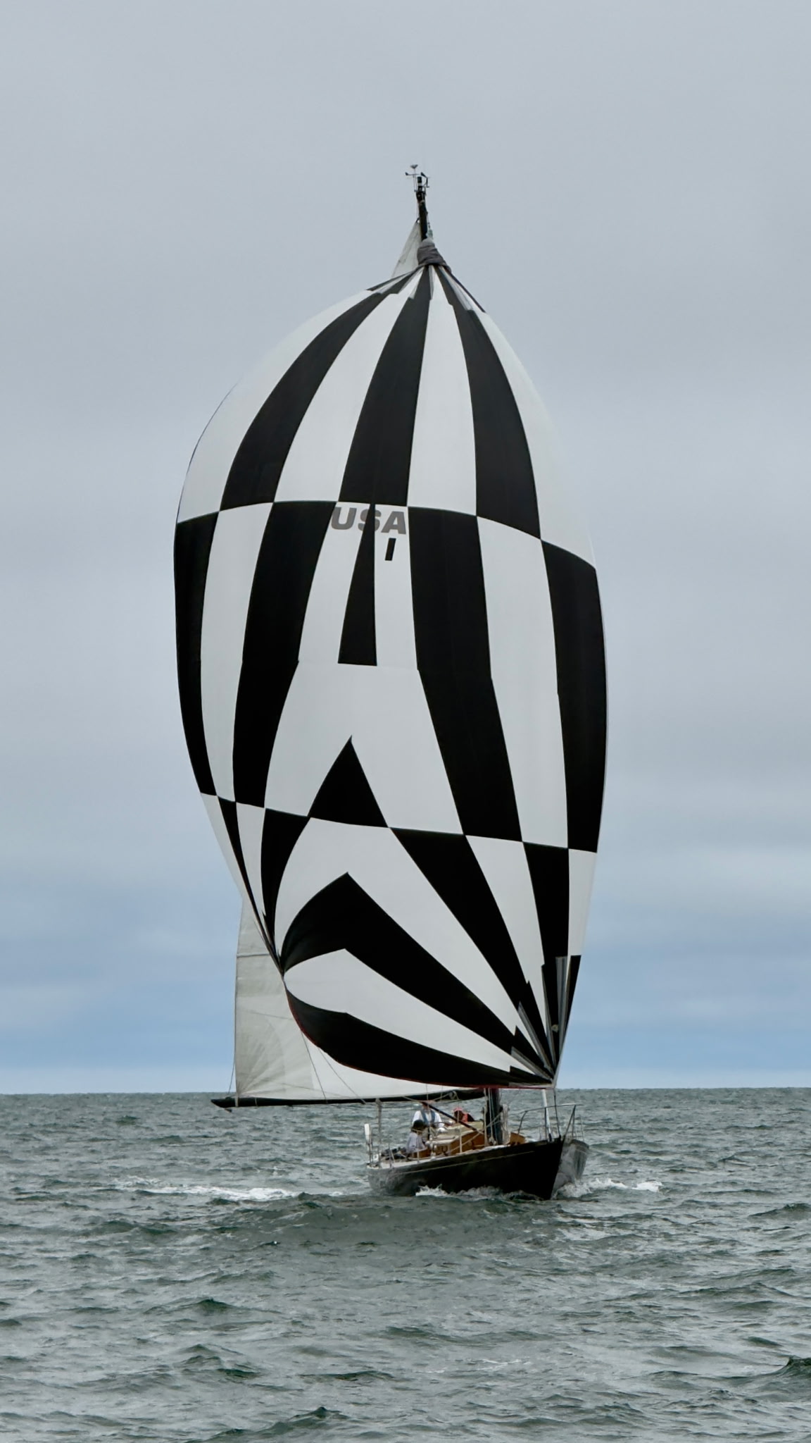 Zebra — W-Class W-46 Sloop — photo 13